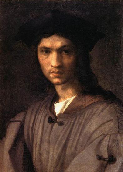 Andrea del Sarto Portrait of Baccio Bandinelli China oil painting art